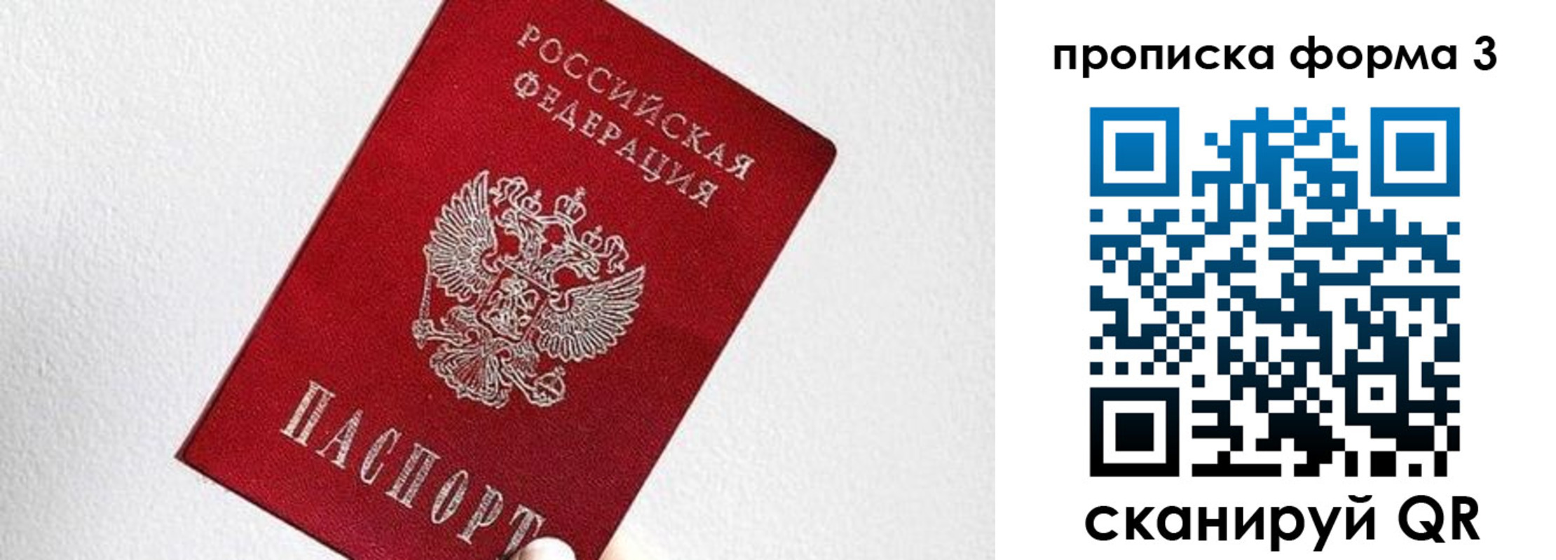 временная регистрация гарантия в Павловске